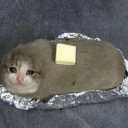Potato Palace Server Icon