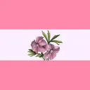 california wlw