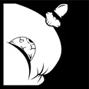 BulletWhale Moonbase