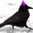 raven gang
