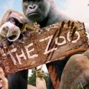 The Zoo