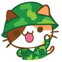Kitten's Brigade