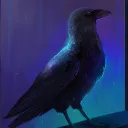 Crow's Nest