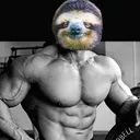 Sweaty Sloths