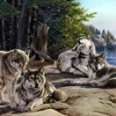 Wolfpack