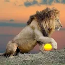 🦁 The Lion's Den