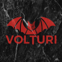 Team VOLTURI icon