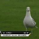 スナイプサーバー