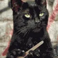Catfire Stories