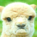 Ö†Ö…ÊÖ… É›Õ¼È¶É›Ê€Ö… ÆˆÉ¦É¨Ê€É¨ÊÖ… Ê Õ¦ Ö„ÇŸ Server Icon