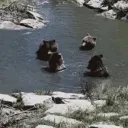 Bear's Cave
