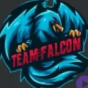 🦅FALCON’S NEST🦅