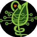 Swampthing
