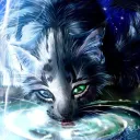 Warrior Cats ~The Loud Thunder Prophecy~