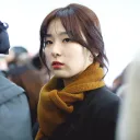 Seulgimotes