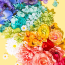 Safe Place Server Icon