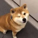 Despacito 2 Hangout
