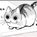のるねこ族