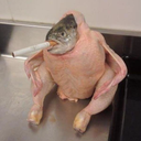 Yeet's Fridge Server Icon