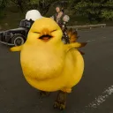 Los Chocobos Watones