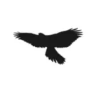 The Eagle's Nest
