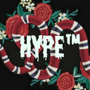 ðŸHype&amp;trade;ðŸ Server Icon