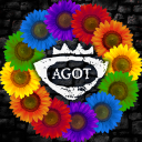 CK AGOT Discord Server Icon