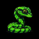 ADDER DD TEAM
