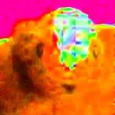 coochie gang