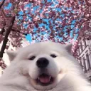 Your friendly reddit neighborhood