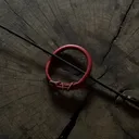 鞭と首輪