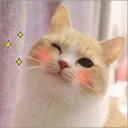 Catizens of Seraflis Banner