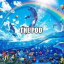 the pod