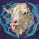 epileF404