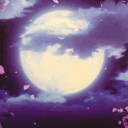 ~The Nightstar Manor~