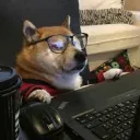 Epic Gamer Doggos