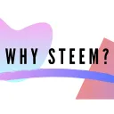 Whysteem