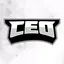 The CEOs