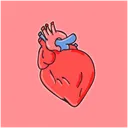 Organ Donation Clinic