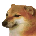 shib