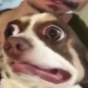 i dont fuckin kno