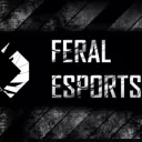 FERAL ESPORTS