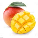 The Mango Lounge
