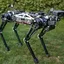 Quadrupedal Robotics