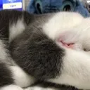 オコタ