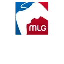 Minor League Gaming