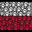 Furry Polska