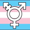 Trans BNet