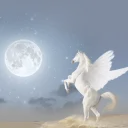 Pegasus
