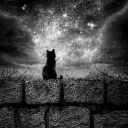 Whims of stars
